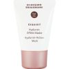 Hildegard Braukmann Masken | Hildegard Braukmann Exquisit Hyaluron Effekt Maske 30 Ml