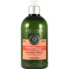 L´Occitane Haare | L´Occitane Aromachologie Reparation Intense Shampooing 500 Ml