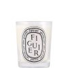 Diptyque Raumduft | Diptyque Figuier Candle Mini 70 G